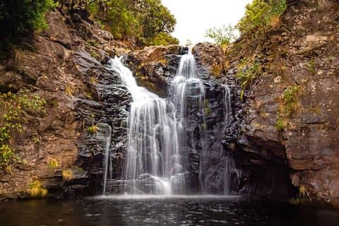Alecrim Walk (PR 6.2) / With Trail entry Fee Included