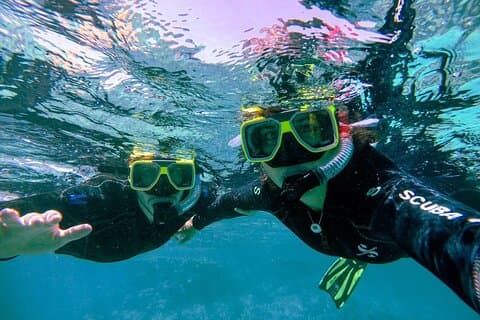 Privé begeleid snorkelen in het Afrikaanse Zeewoud, Simonstown
