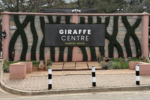 Giraffe Centre besöker Nairobi