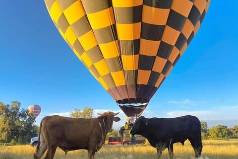 Vuelo en Globo sobre Teotihuacán con Desayuno en Cueva