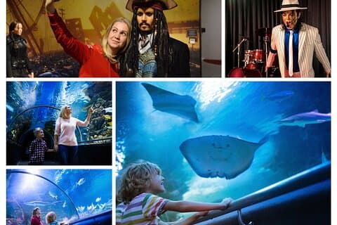 Side : Biglietto per l'acquario di Antalya con trasferimento opzionale