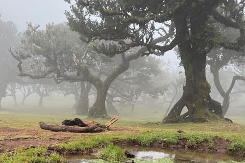 Private Tour Madeira West