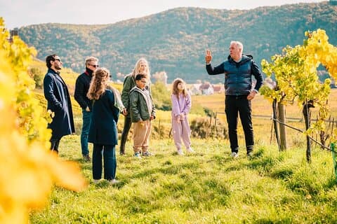 Wachau Valley Private Wine Tour with Tasting and Gourmet Lunch