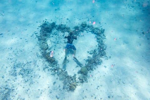 Excursion Snorkeling 4h à Tahiti : Nagez avec Tortues et Raies