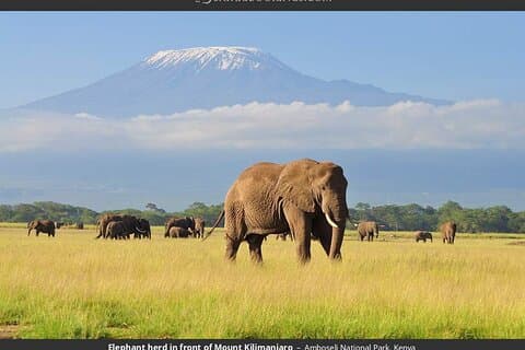 2 Nätter 3 dagar Amboseli nationalpark med 4 * 4-fordon