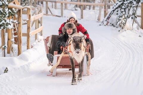 Rovaniemi : Rendiersafari & sleetocht met Sámi Heritage