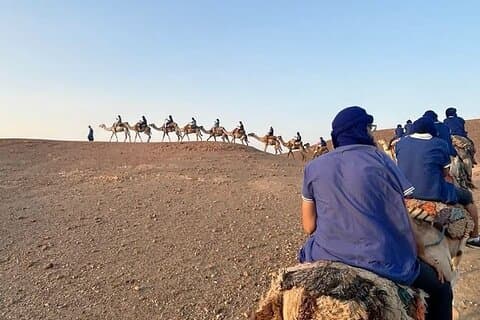 1t Quad + 1t Camel Ride + Dinner Show (transport inkludert)
