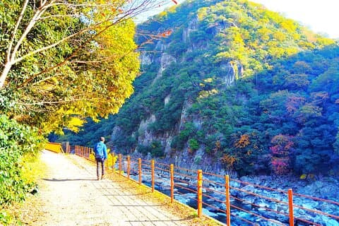 Near Osaka: Secret Abandoned Railway Gorge Hike