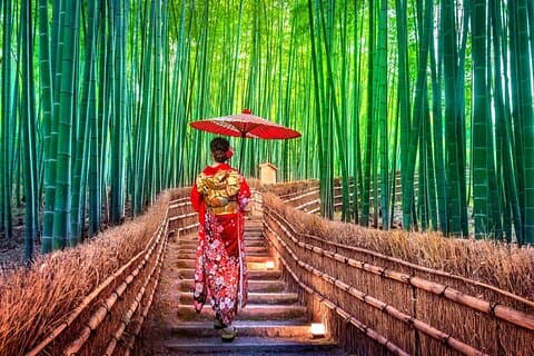 Kyoto Arashiyama & Kinkaku-ji Temple Privat tur fra Osaka havn