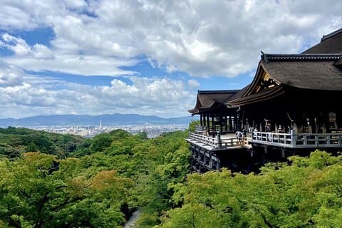 Tour di Kyoto: 3 siti fotogenici da Nagoya con pranzo