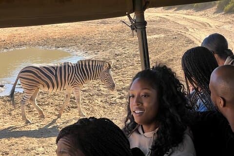 Kaapstad Beste Safari Tour Inclusief Vervoer en Lunch