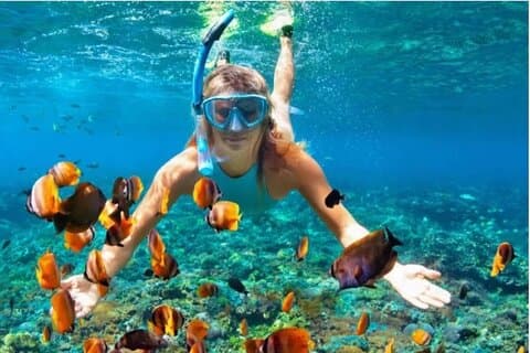 Tour de aventura de snorkel con guía y equipo incluido