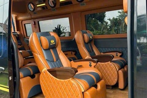 From Ho Chi Minh: Mekong Delta Tour Option Luxury D-car Limousine