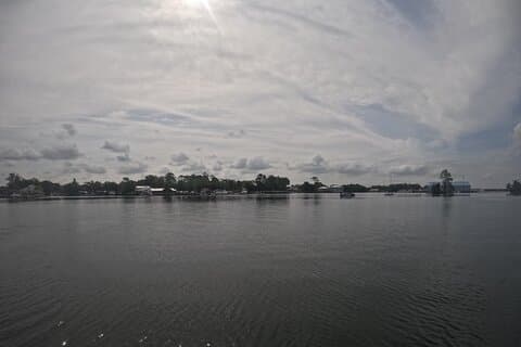 Crystal River: Kings Bay Eco Tour