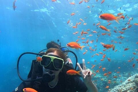 Duiken Volledige dag voor beginners in Hurghada