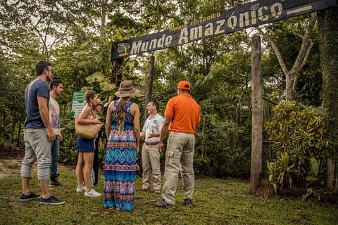 Grundlegender Amazonas-Weltökopark