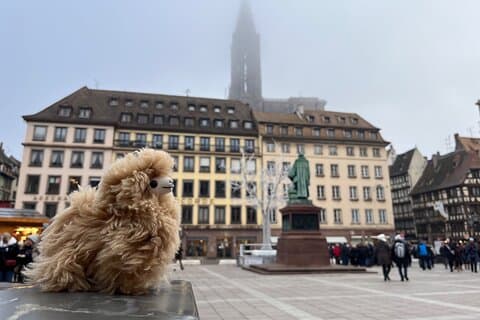 Excursão de um dia ao Luxemburgo saindo de Estrasburgo