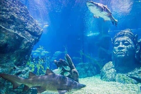 Billet til Bangkok Ocean World