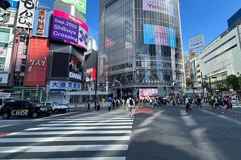 Tokio Privéwandeltocht Shibuya, Harajuku en Meiji Jingu