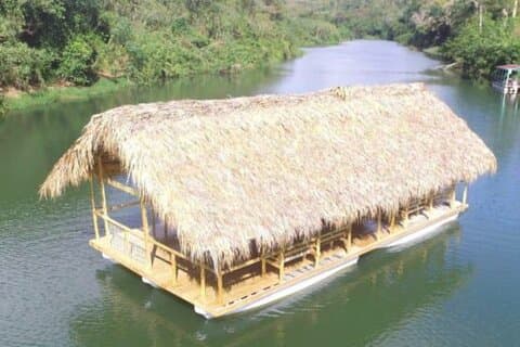 Safari Nature et Aventure Immersion dans la Vie Dominicaine