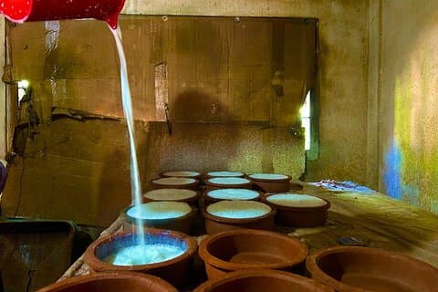 Expérience de fabrication de lait frais Tissamaharama