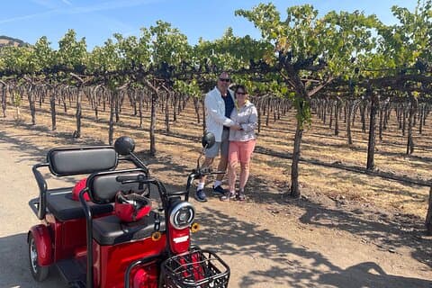 Visita ao Kenwood Wine Country Electric Trike por 3 horas