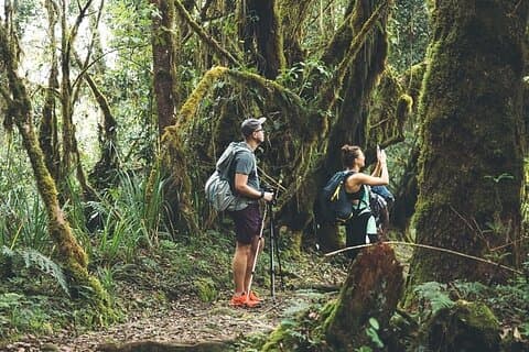 Hotell i nærheten av Kilimanjaro National Park Minivan Private Tour