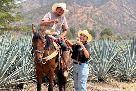 De Premium Tequila Route