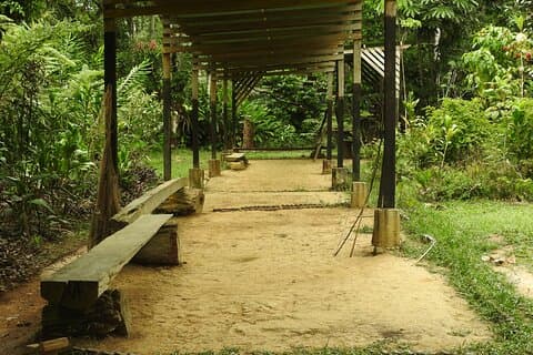 Traditional Full-Day Amazonian World Talk