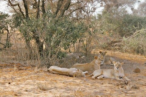 4 Day Safari to Amboseli & Taita Hills from Nairobi