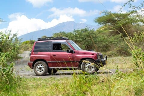 Dagsafari til Arusha nasjonalpark i «Little Red Rover»