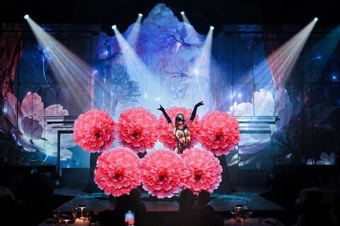 Dîner-spectacle de rêve Dubaï