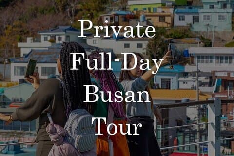Privétour van een hele dag door Busan met persoonlijke chauffeur
