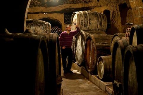 Visita a bodega de vinos con comida y tufa en Orvieto