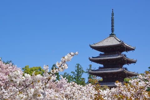 Kyoto: Ninna-ji, incrível passeio de pagoda e jardins em 1,5h
