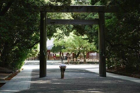 Nagoya's Sacred Power Spot: Atsuta Shrine and Nature Walk