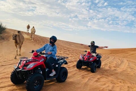 Desert Adventure : Safari en quad & camello desde Sharm El-Sheikh