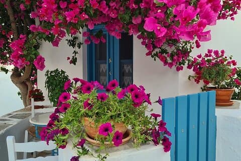 Small Group Paros Discovery — Culture, Taste & Island Life