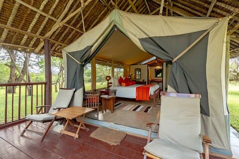 3 Days Voyager Ziwani Venture with Night Safari