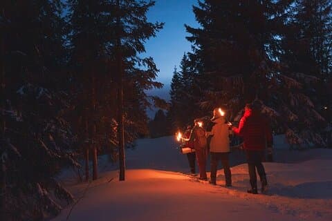 Private Winter Forest Walk & Campfire by Torchlight