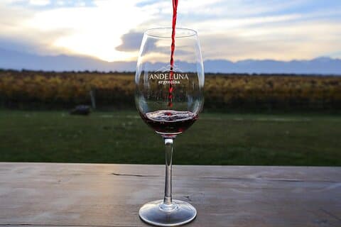 Uco Valley vin & cykel oplevelse af hele dagen
