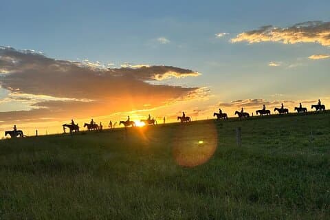 Hunter Valley Sunset Horse Ride - 90 Minutes