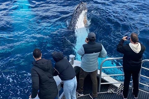 Dunsborough Whale Watching Tour