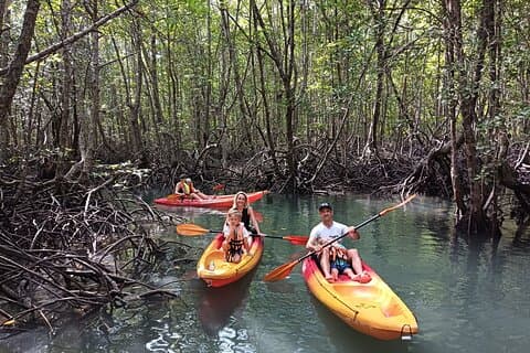 Koh Yao Yai Mangrove Forest Kayak with Local Life Discovery Tour