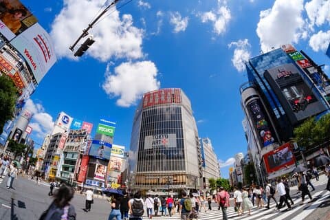 Tokyo: Shinjuku & Shibuya Walking Tour – City Highlights