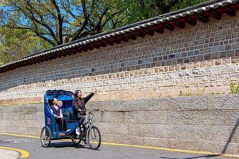 Seoul Bukchon Heritage Tour med Pedicab och Workshop
