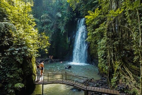 Dagtour Ubud met toegangskaarten