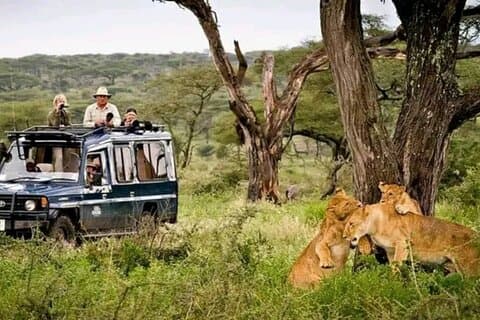 Tour Privado de 3 Días en Jeep Safari Isla de Zanzíbar