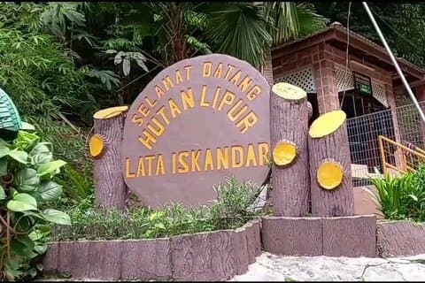 Cameron Highland Tagesausflug von Kuala lumpur