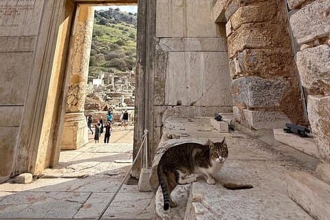 Ephesus and Virgin Mary House Day Trip from Istanbul